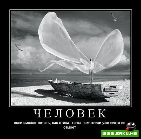 Демотиваторы, сорок восьмая часть (28 фото)