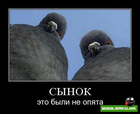 Демотиваторы, сорок восьмая часть (28 фото)