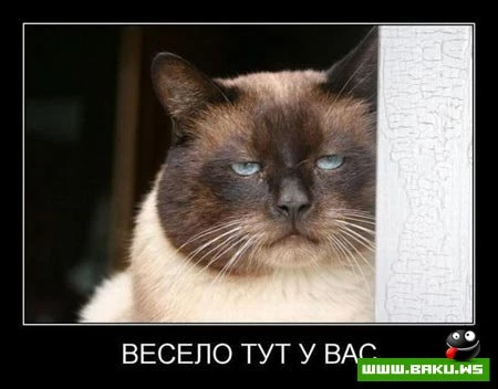 Демотиваторы, сорок восьмая часть (28 фото)