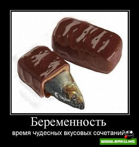 Демотиваторы, сорок восьмая часть (28 фото)