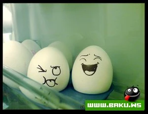 Яйца :)))