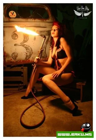 Горячие девочки и горячие машины (21 фото)