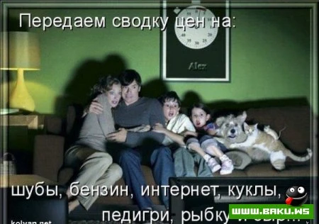 Котята :)