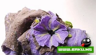 Шарфики. Интересные и разные.