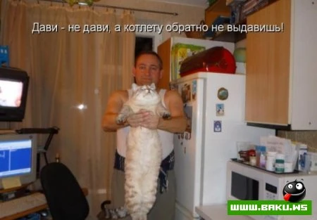 любимые зверюшки, домашние и не :))))