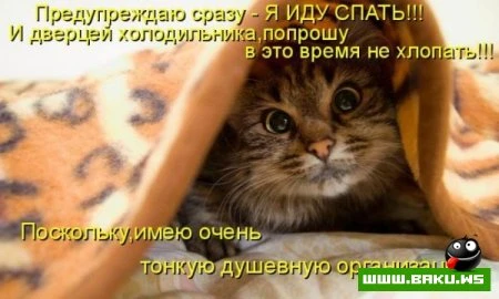 любимые зверюшки, домашние и не :))))