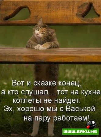 любимые зверюшки, домашние и не :))))