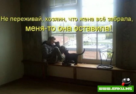 любимые зверюшки, домашние и не :))))