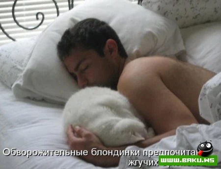 любимые зверюшки, домашние и не :))))