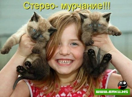 любимые зверюшки, домашние и не :))))