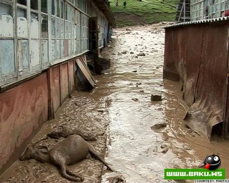 Hacıkənd qəsəbəsində daşqın (8 foto)
