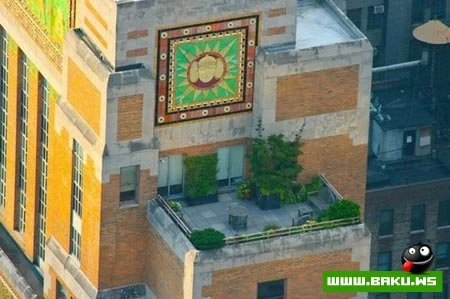 Что творится на крышах богатых людей (20 фото)