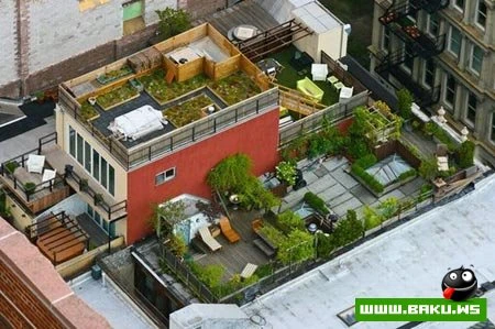 Что творится на крышах богатых людей (20 фото)