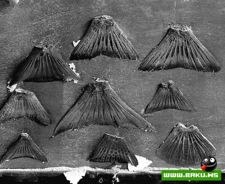 Заброшенный город (20 фотографий)
