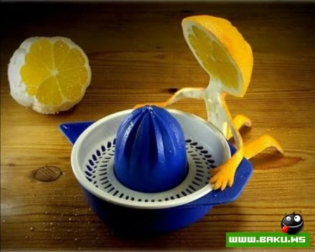 Живая Еда :))