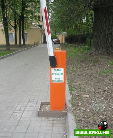 Смешные надписи