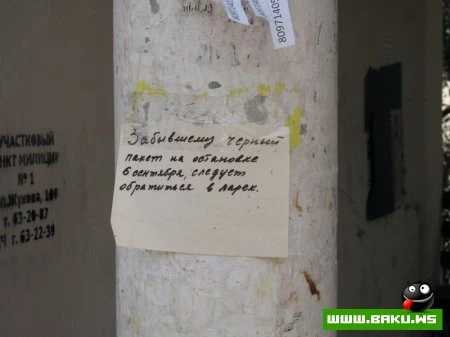 Смешные надписи