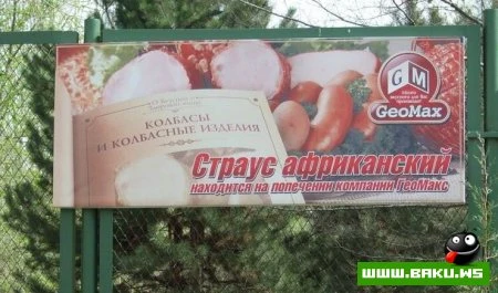 Смешные надписи