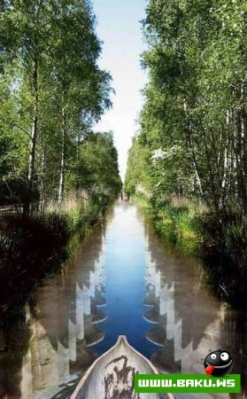 Мечта и реальность