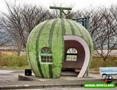 Арбуз и его родственники -=))