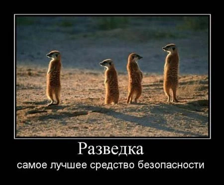 Демотиваторы :)