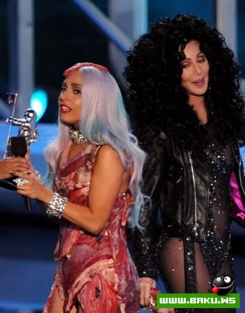 Lady Gaga в говяжьем платье, а Шер – и вовсе без платья - ФОТО