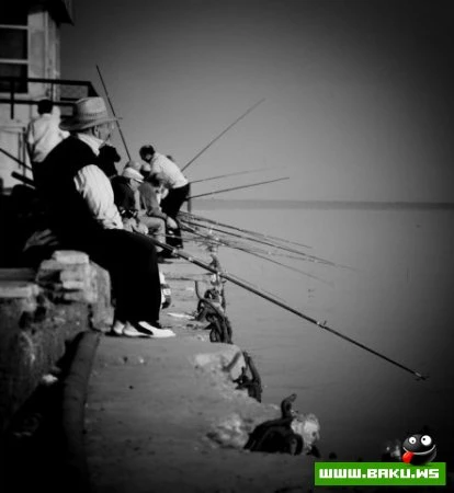 Fotoqraf Togrul Məmmədovun işləri