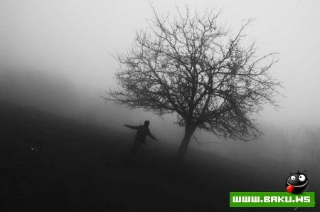 Fotoqraf Togrul Məmmədovun işləri