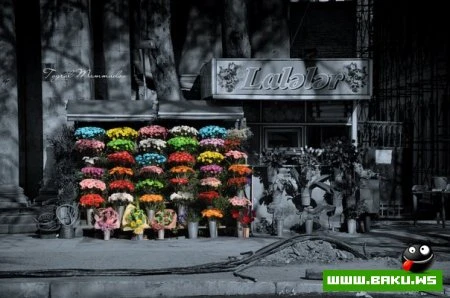 Fotoqraf Togrul Məmmədovun işləri