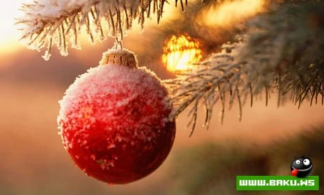 Новогодние открытки
