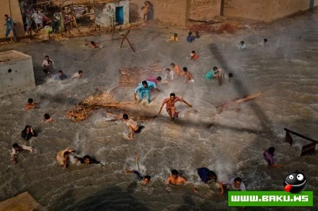 Назван лучший снимок 2010 года - ФОТО