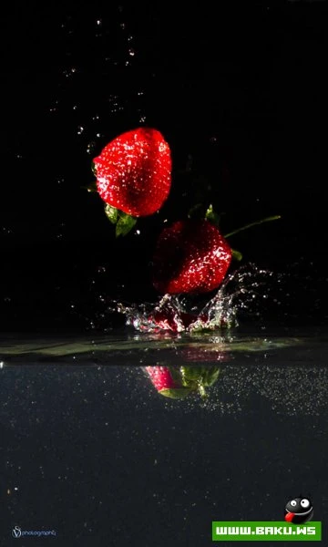 Splash Photo