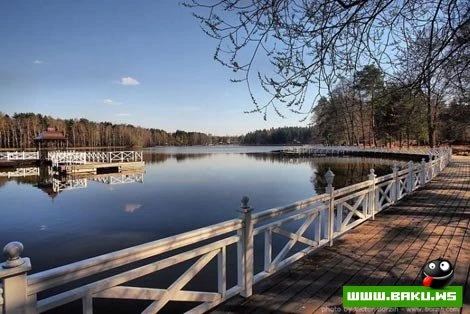 Дома Рублевки (47 фото)