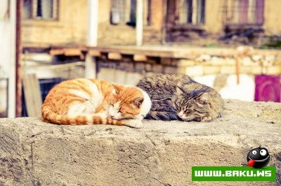 Сарван Гадиров – из каравана АМБИЦИОЗНЫХ фотографов…