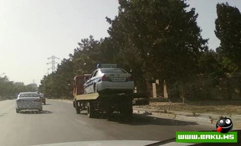 Milli Yumor - 50 FOTO