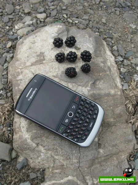 Milli Yumor - 50 FOTO