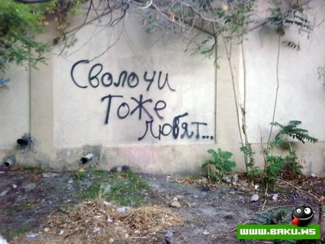 Milli Yumor - 50 FOTO
