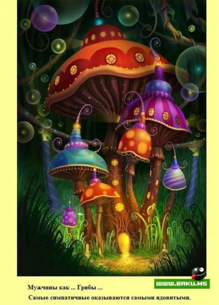 Факты о мужчинах (15 фото)