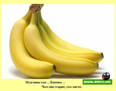 Факты о мужчинах (15 фото)