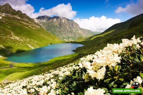 Горы Кавказа (49  фото)