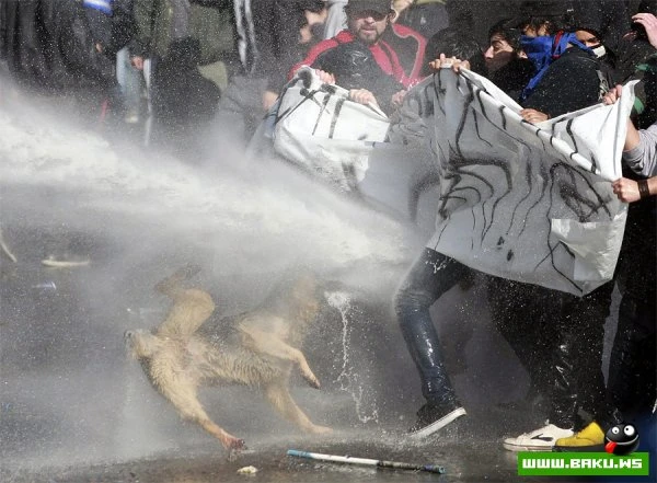 Лучшие фото Reuters в 2011 году (22 фото)