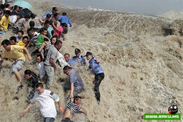 Лучшие фото Reuters в 2011 году (22 фото)