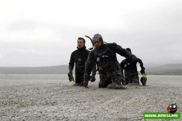Лучшие фото Reuters в 2011 году (22 фото)
