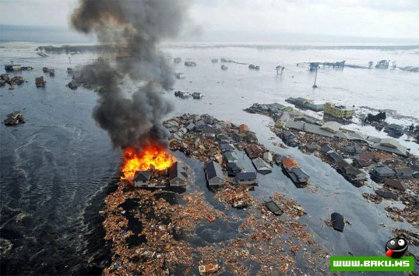Лучшие фото Reuters в 2011 году (22 фото)