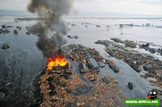 Самые сильные фотографии 2011