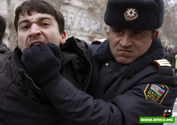 Самые сильные фотографии 2011