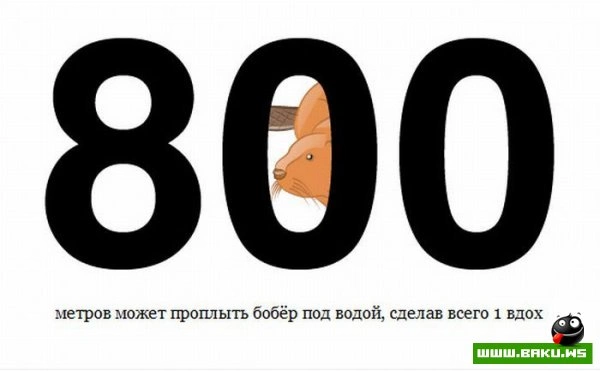 Цифры в жизни (20 фото)