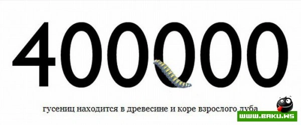Цифры в жизни (20 фото)