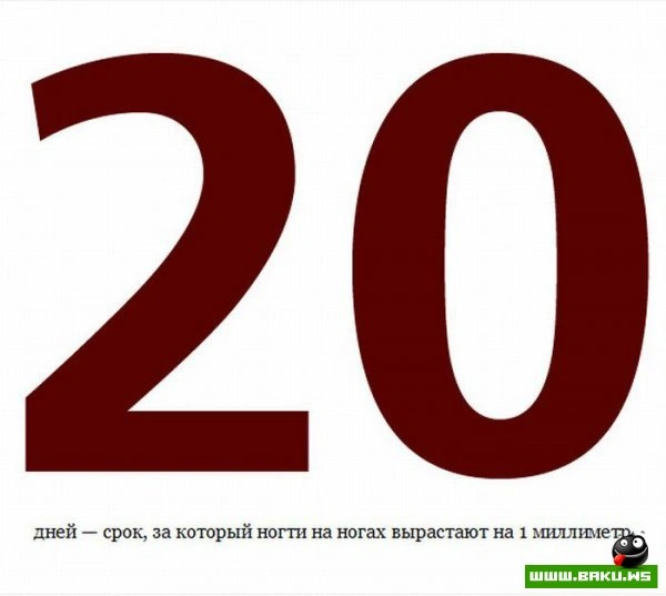 Цифры в жизни (20 фото)