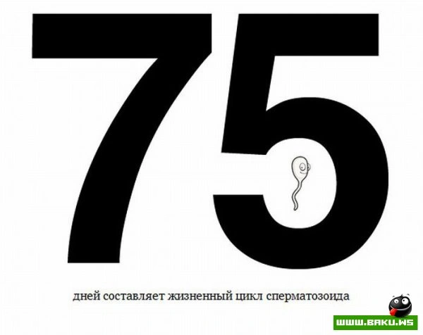 Цифры в жизни (20 фото)